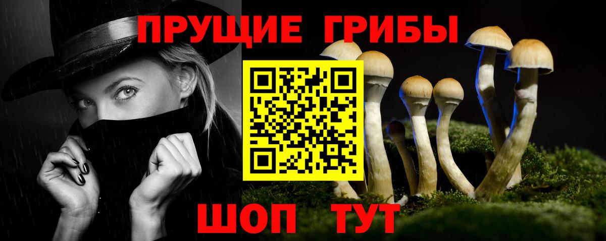 Галлюциногенные грибы GOLDEN TEACHER Чапаевск
